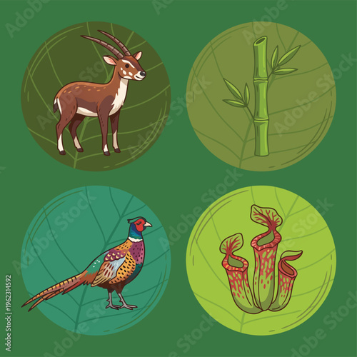 Collection of Four Circular Illustrations Featuring Wildlife and Flora.