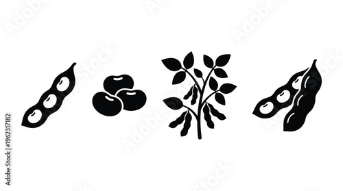 Black silhouettes of soybeans pods and leaves against a white background silhouette