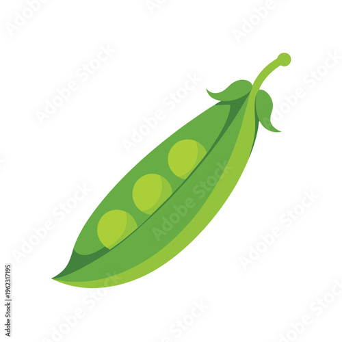 Green pea pod vegetable illustration isolated on white background for healthy eating theme