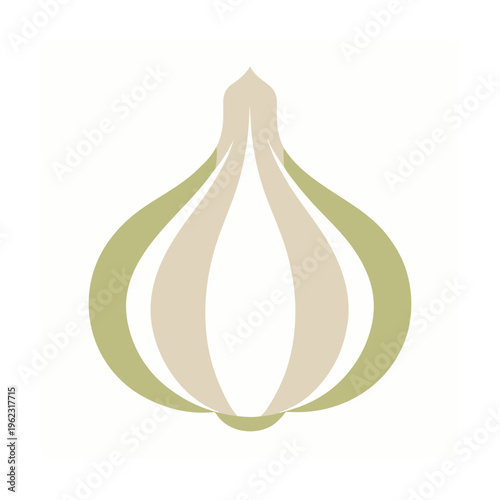 Whole garlic bulb vector illustration, a pungent and flavorful ingredient used in many dishes
