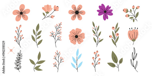 Collection of hand drawn floral elements and delicate spring flowers