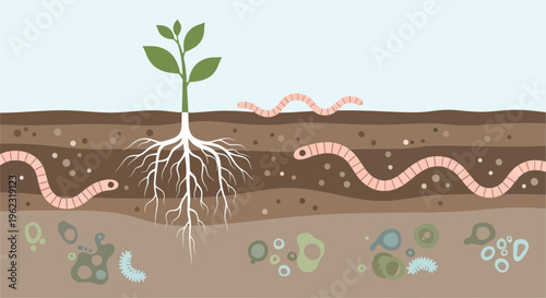 Dynamic Soil Ecosystem: Detailed Illustration of Plant Roots, Earthworms, and Microorganisms Working Together for Soil Health
