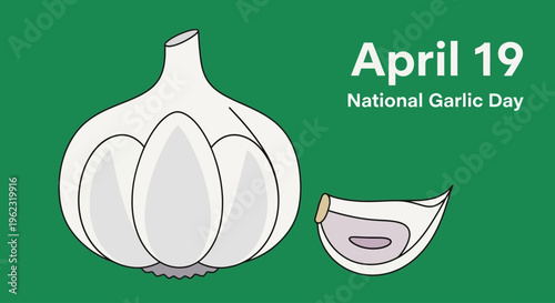 Garlic bulb and clove isolated on transparent background