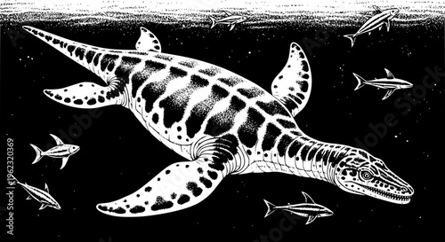 elasmosaurus vector art