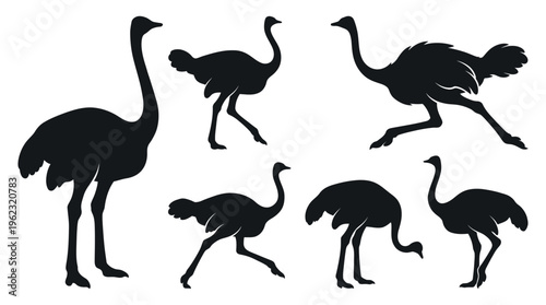 A collection of ostrich silhouettes in various poses and perspectives silhouette