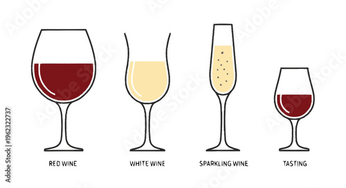 Four Different Types of Wine Glasses Illustrated.