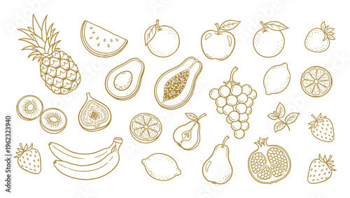 Fruit collection naive hand drawn vector illustration. Naive chalk fruit doodle outline vector illustration set with hand drawn crayon style