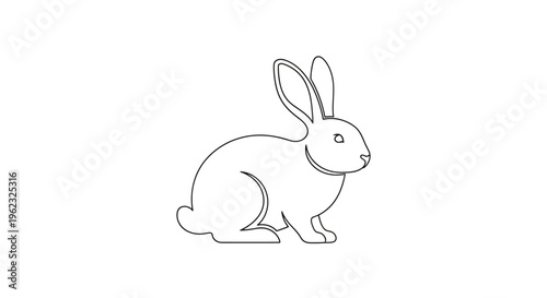 Cute rabbit sitting on ground.
