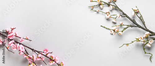 Beautiful blossoming branches on white background with space for text