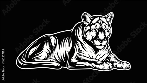 Resting cougar illustration on black background