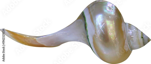 Fényképezés The mother-of-pearl inlaid chopsticks are made from natural seashells and set on