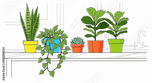 Colorful potted plants arranged on a shelf with a faint background