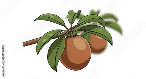 Cartoon style illustration of ripe fruits hanging on a branch with green leaves