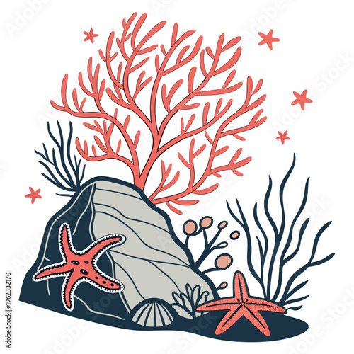 Coral reef with starfish and seaweed