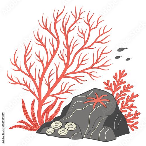 Coral reef with rock starfish and fish