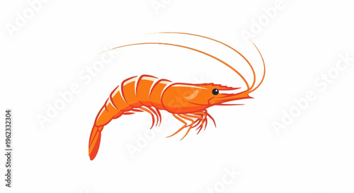 Bright orange shrimp illustration with delicate antennae, swimming forward