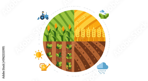 Sustainable Agriculture Cycle: Farming Process with Crop Rotation, Cultivation, and Growth Stages Icons