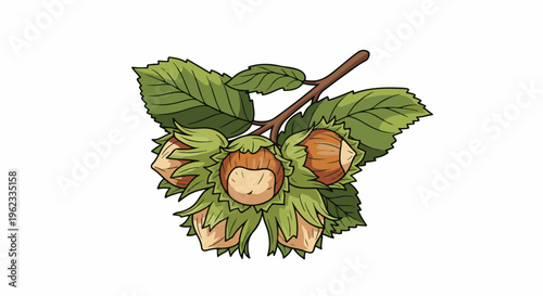 Bunch of ripe hazelnuts with green leaves and brown husks