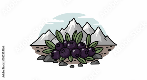 Bunch of dark purple berries with green leaves on rocky ground below mountains