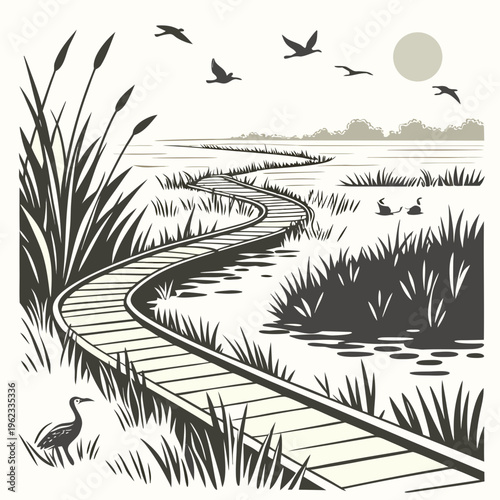 A serene and peaceful winding boardwalk through a wetland area with birds and lush vegetation under a sunny sky