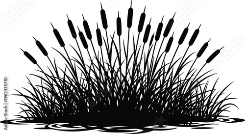 Cattail reed cluster silhouette wetland grass nature vector illustration