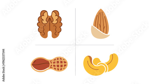 Four types of nuts and seeds displayed as decorative icons
