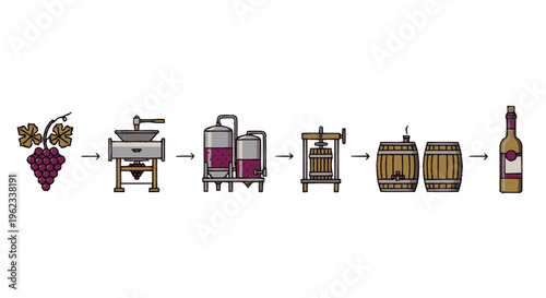 Grape to Bottle Wine Production Process Illustration.