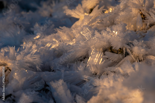 Принти на полотні Frost crystals glimmering in sun close up shallow depth of field
