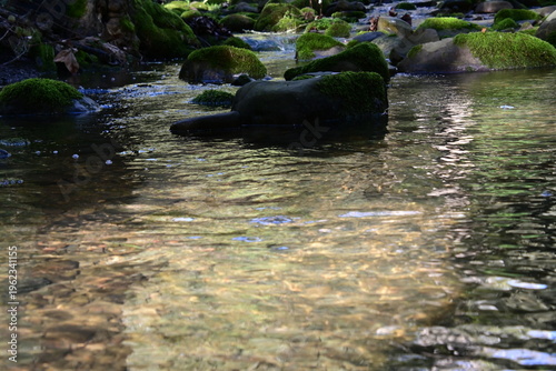 beautiful mountain stream in springtime