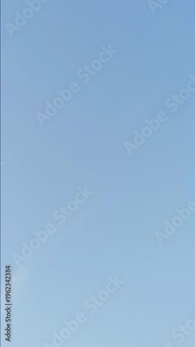 Birds are Flying on The Sky