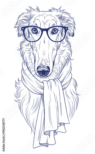 Russian Greyhound Borzoi with glasses and scarf line art illustration — elegant design, canine heritage and visual content for social media, branding and educational purposes in lifestyle