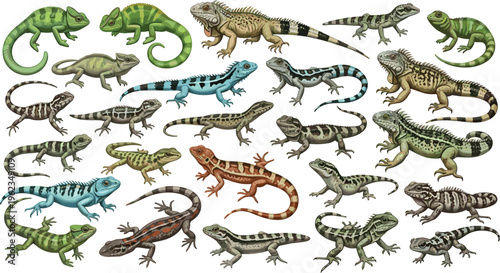 Lizard Reptile Vector Collection with Multiple Species Poses Detailed Wildlife Set Featuring Iguana Gecko Chameleon and Monitor Cartoon Illustrations