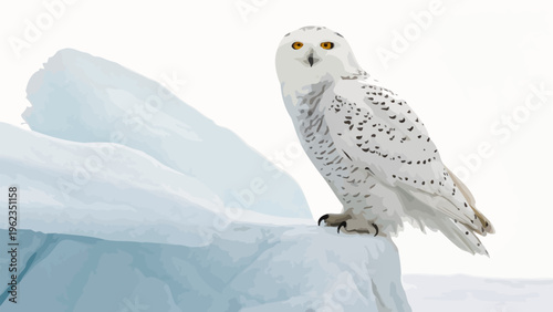 Snowy owl perched on a broken ice chunk in a serene arctic landscape with white background