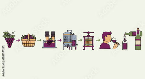 Wine production process from grape to bottle illustration.