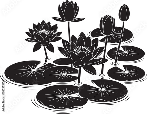 Water lily silhouette with lily pads on transparent water background vector illustration aquatic plant nature flora peaceful scene.