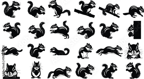 Collection of various squirrel silhouette poses and movements in black on white background silhouette