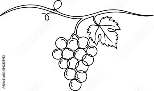 a simple black and white line drawing depicts a cluster of grapes with a stem and leaves offering a natural aesthetic
