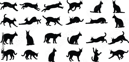 Collection of various cat silhouette poses and actions