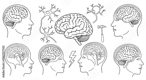 Brain human anatomy set with neuron cells and side profile heads, detailed line drawings for medical and educational purposes.