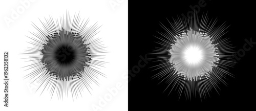 Abstract radial sunburst pattern with wavy line core. Minimalist vector illustration of a digital explosion, sonic wave, or energy radiation isolated on black and white backgrounds.