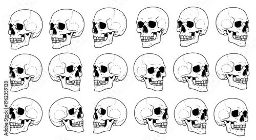 Skulls set with 15 variations of black and white illustrations facing right with different expressions and details