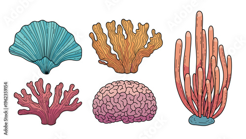 Comprehensive collection of various types and shapes of ocean coral and sponges in vibrant blue, orange, pink, and red colors.