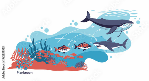 Whale Shark and Fish Swimming in Coral Reef Ecosystem.