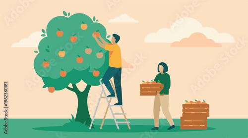Man and woman picking apples from a tree, minimalist harvest illustration