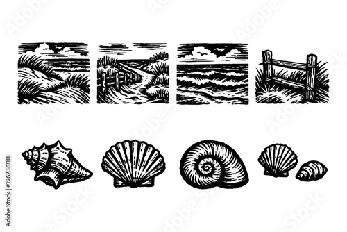 Vintage linocut illustrations of coastal scenes and seashells