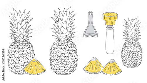Illustrations of whole pineapples slices and specialized kitchen tools for coring and slicing tropical fruit for healthy eating and cooking concepts.