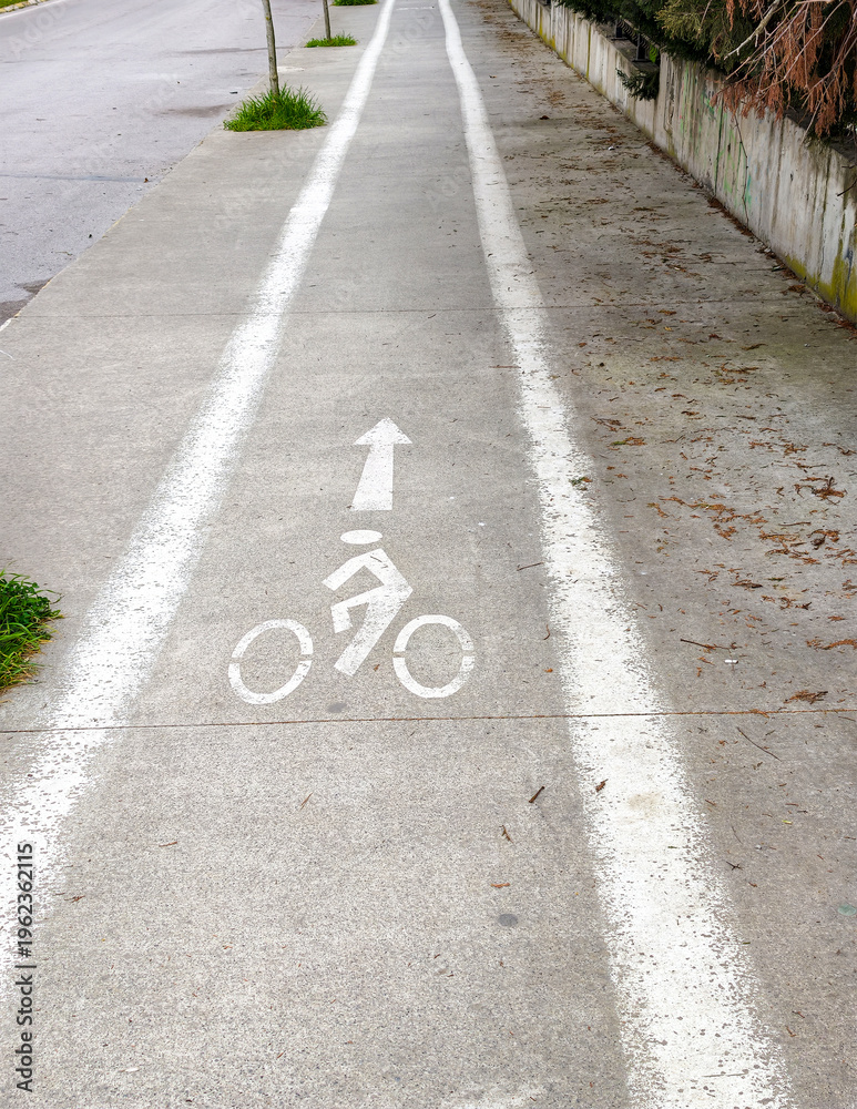 Fototapeta premium Bike lane marked on concrete pathway near road with trees beside it at an urban location in daylight