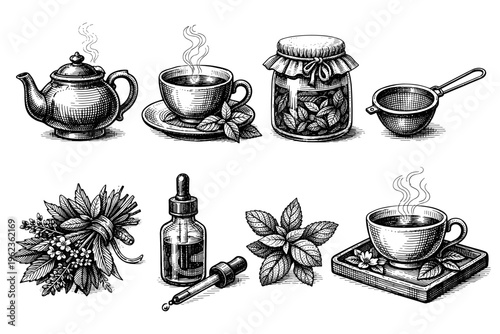 Vintage illustration of herbal tea preparation and ingredients