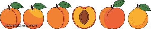 Peach fruit collection with whole peaches and sliced half with seed fresh vector illustration set isolated on white background
