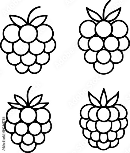 Raspberry illustration set, in outline style, for fruit or food design